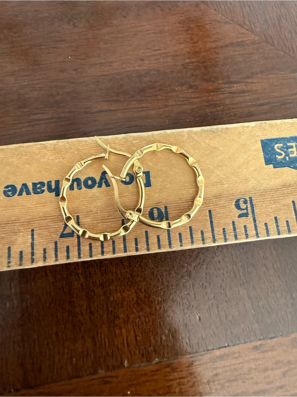 New No tag Gold Plated Hoop Earrings